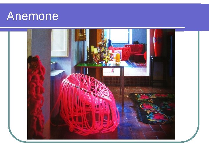 Anemone 