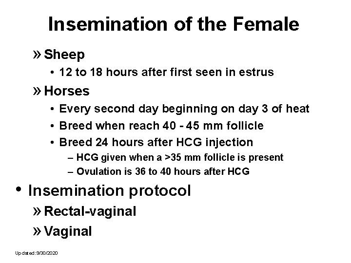 Insemination of the Female » Sheep • 12 to 18 hours after first seen