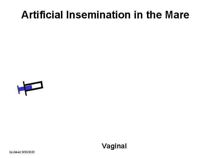 Artificial Insemination in the Mare Vaginal Updated: 9/30/2020 