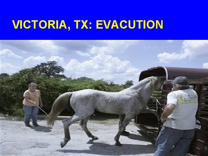 VICTORIA, TX: EVACUTION 