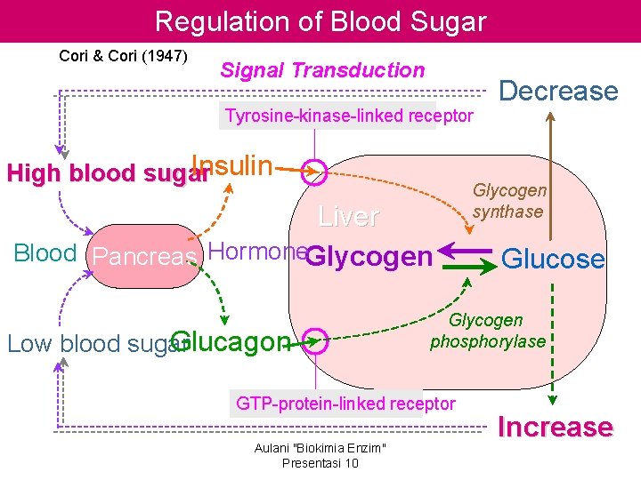 Regulation of Blood Sugar Cori & Cori (1947) Signal Transduction Tyrosine-kinase-linked receptor Insulin High