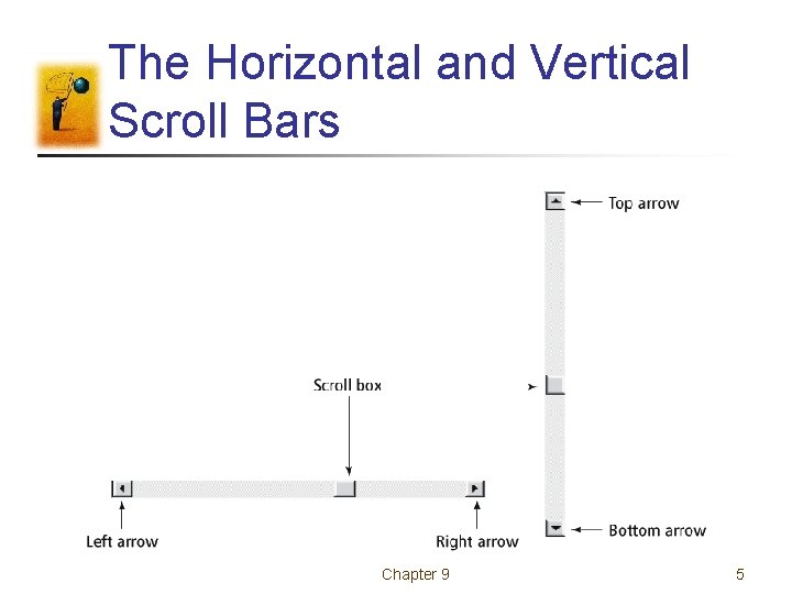 The Horizontal and Vertical Scroll Bars Chapter 9 5 