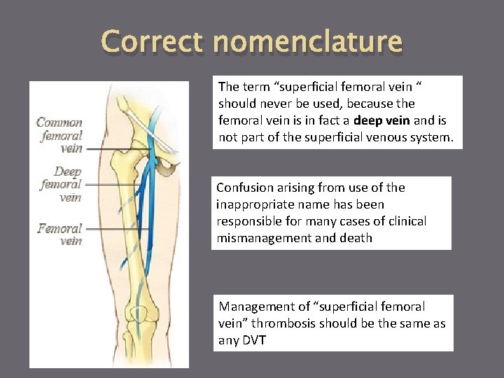 Correct nomenclature The term “superficial femoral vein “ should never be used, because the