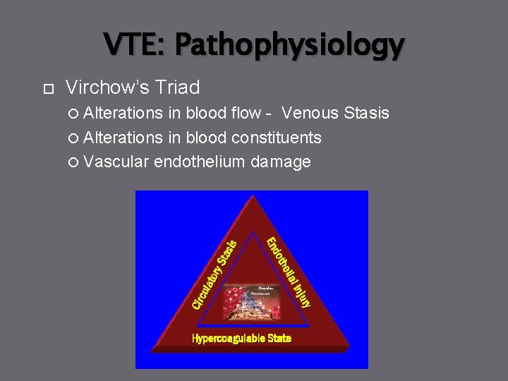 VTE: Pathophysiology Virchow’s Triad Alterations in blood flow - Venous Stasis Alterations in blood