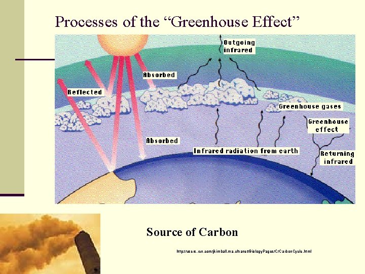 Processes of the “Greenhouse Effect” Source of Carbon http: //users. rcn. com/jkimball. ma. ultranet/Biology.
