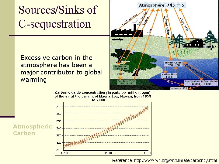 Sources/Sinks of C-sequestration Excessive carbon in the atmosphere has been a major contributor to