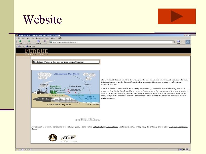 Website 