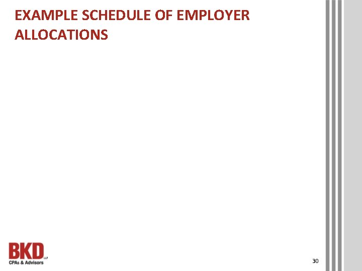EXAMPLE SCHEDULE OF EMPLOYER ALLOCATIONS 30 