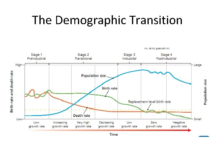 The Demographic Transition 