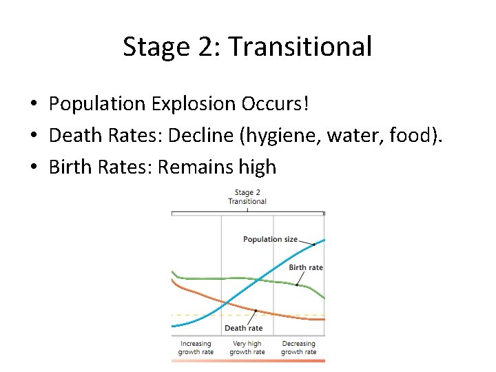 Stage 2: Transitional • Population Explosion Occurs! • Death Rates: Decline (hygiene, water, food).