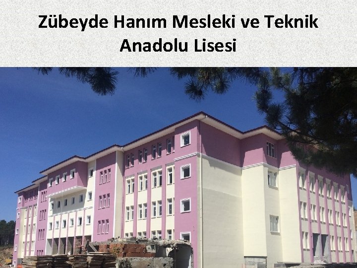 Zübeyde Hanım Mesleki ve Teknik Anadolu Lisesi 