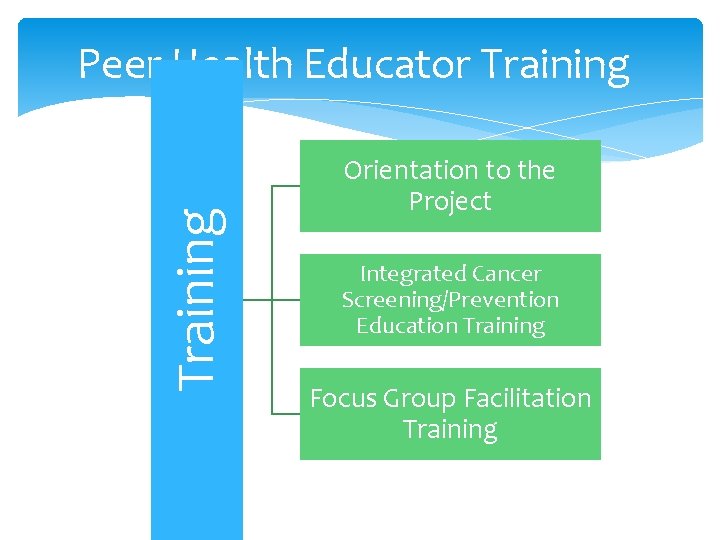 Training Peer Health Educator Training Orientation to the Project Integrated Cancer Screening/Prevention Education Training