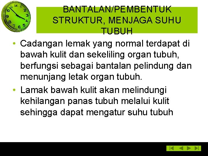 BANTALAN/PEMBENTUK STRUKTUR, MENJAGA SUHU TUBUH • Cadangan lemak yang normal terdapat di bawah kulit