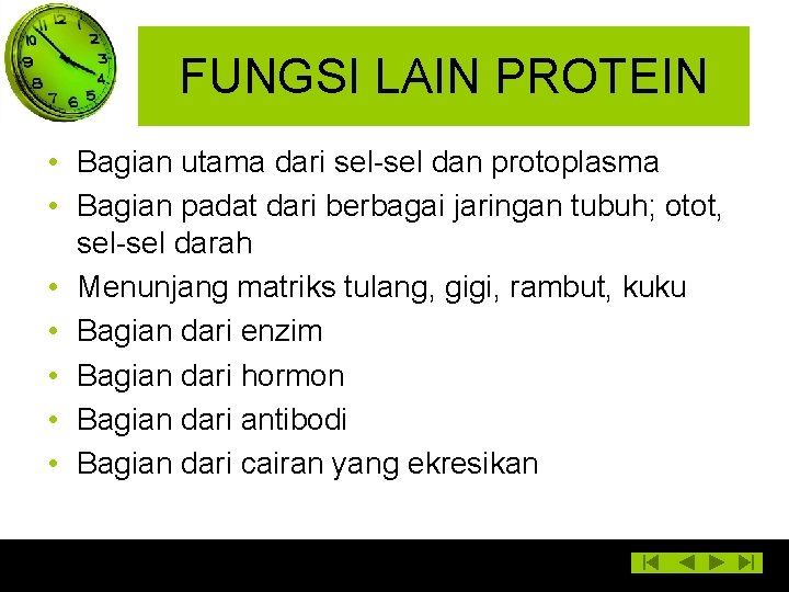 FUNGSI LAIN PROTEIN • Bagian utama dari sel-sel dan protoplasma • Bagian padat dari