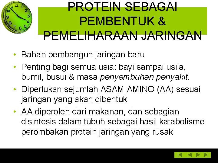 PROTEIN SEBAGAI PEMBENTUK & PEMELIHARAAN JARINGAN • Bahan pembangun jaringan baru • Penting bagi