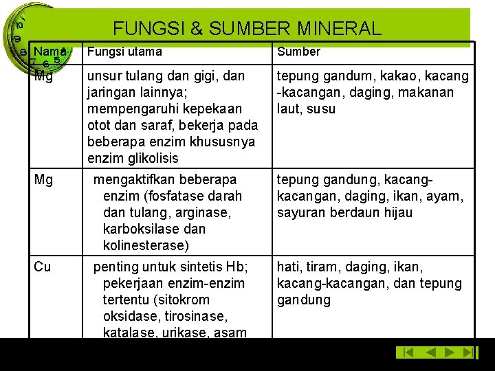 FUNGSI & SUMBER MINERAL Nama Fungsi utama Sumber Mg unsur tulang dan gigi, dan