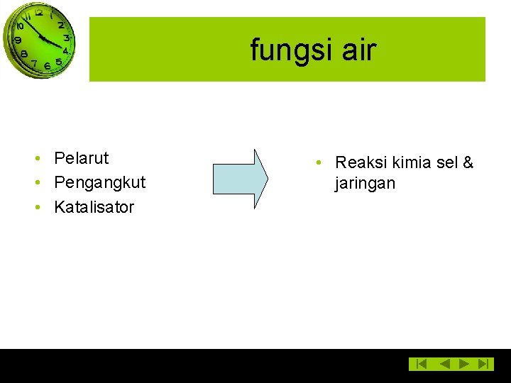 fungsi air • Pelarut • Pengangkut • Katalisator • Reaksi kimia sel & jaringan