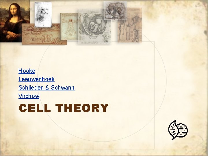 Hooke Leeuwenhoek Schlieden & Schwann Virchow CELL THEORY 