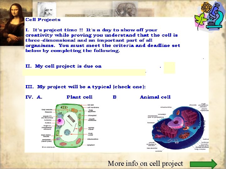 More info on cell project 