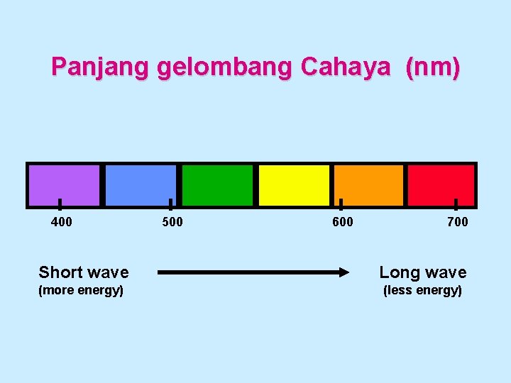 Panjang gelombang Cahaya (nm) 400 500 600 700 Short wave Long wave (more energy)