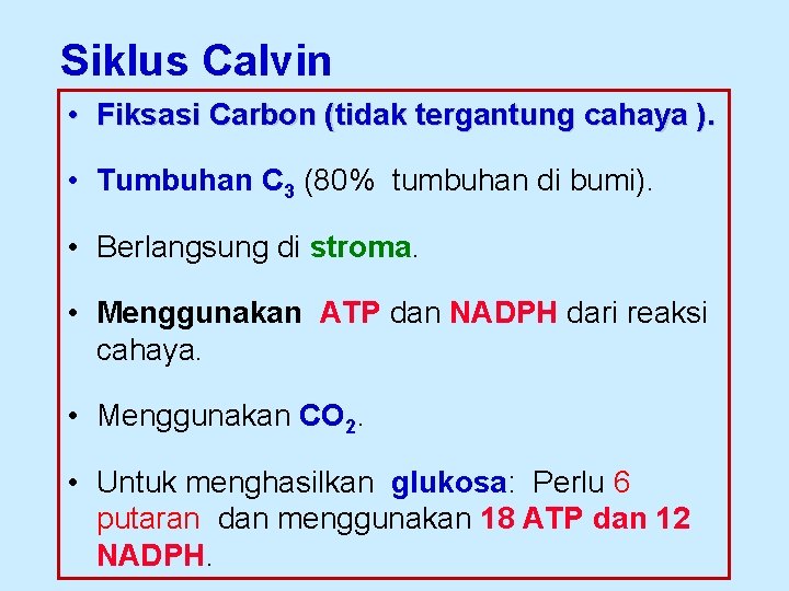 Siklus Calvin • Fiksasi Carbon (tidak tergantung cahaya ). • Tumbuhan C 3 (80%