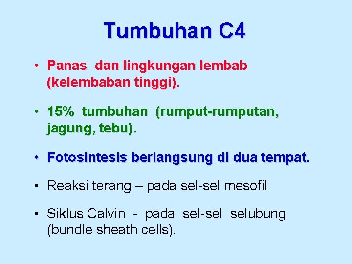 Tumbuhan C 4 • Panas dan lingkungan lembab (kelembaban tinggi). • 15% tumbuhan (rumput-rumputan,