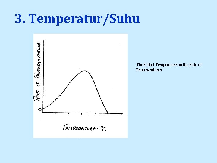 3. Temperatur/Suhu The Effect Temperature on the Rate of Photosynthesis 