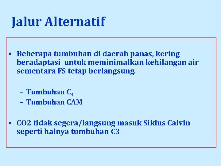 Jalur Alternatif • Beberapa tumbuhan di daerah panas, kering beradaptasi untuk meminimalkan kehilangan air