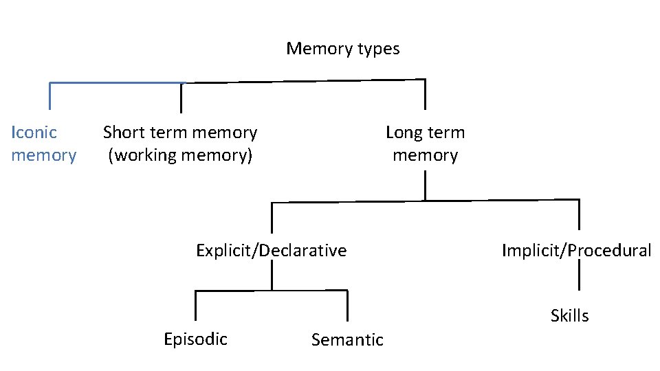 Memory types Iconic memory Short term memory (working memory) Long term memory Explicit/Declarative Episodic