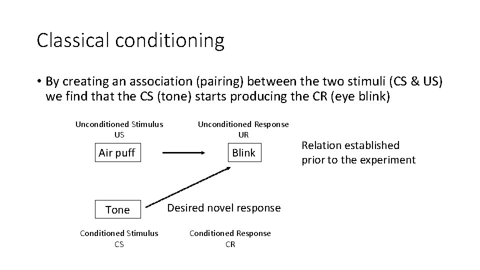 Classical conditioning • By creating an association (pairing) between the two stimuli (CS &