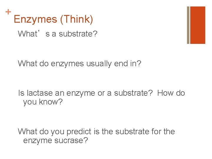 + Enzymes (Think) What’s a substrate? What do enzymes usually end in? Is lactase