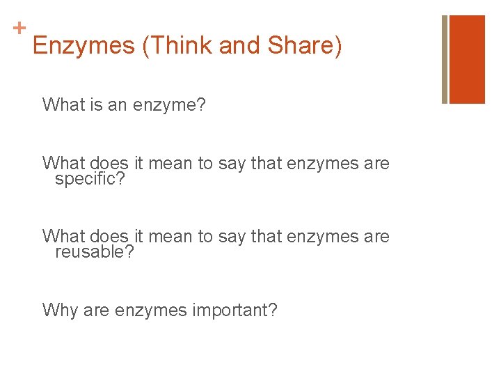 + Enzymes (Think and Share) What is an enzyme? What does it mean to