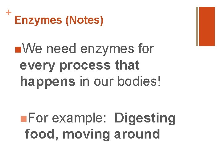 + Enzymes (Notes) n. We need enzymes for every process that happens in our