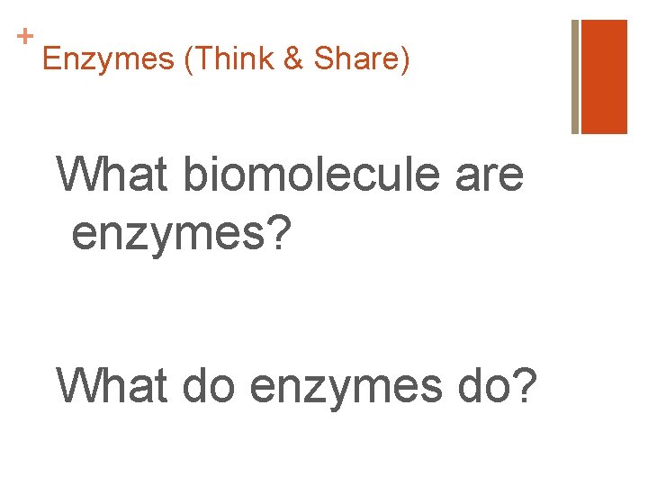 + Enzymes (Think & Share) What biomolecule are enzymes? What do enzymes do? 