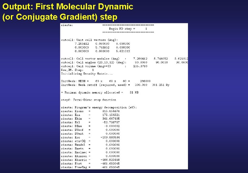 Output: First Molecular Dynamic (or Conjugate Gradient) step 