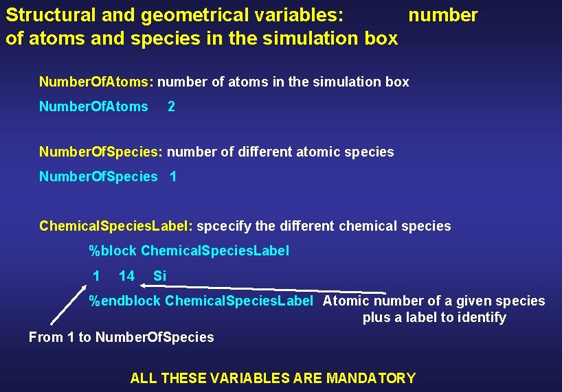 Structural and geometrical variables: number of atoms and species in the simulation box Number.