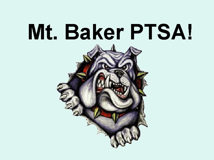 Mt. Baker PTSA! 