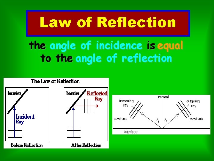 Law of Reflection the angle of incidence is equal to the angle of reflection