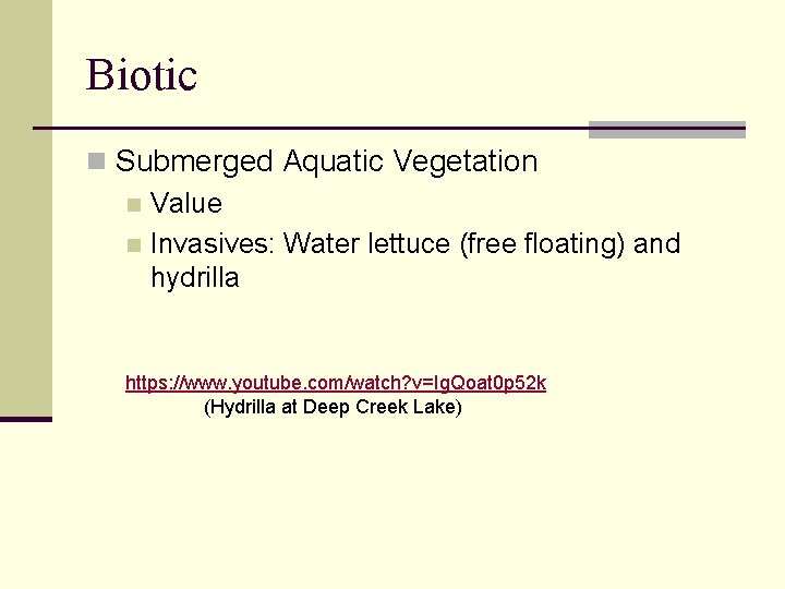 Biotic n Submerged Aquatic Vegetation n Value n Invasives: Water lettuce (free floating) and