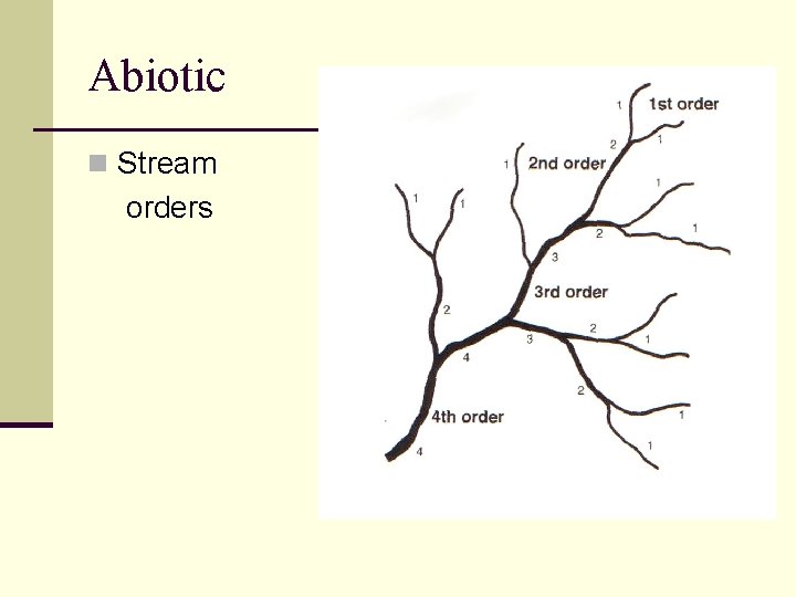 Abiotic n Stream orders 