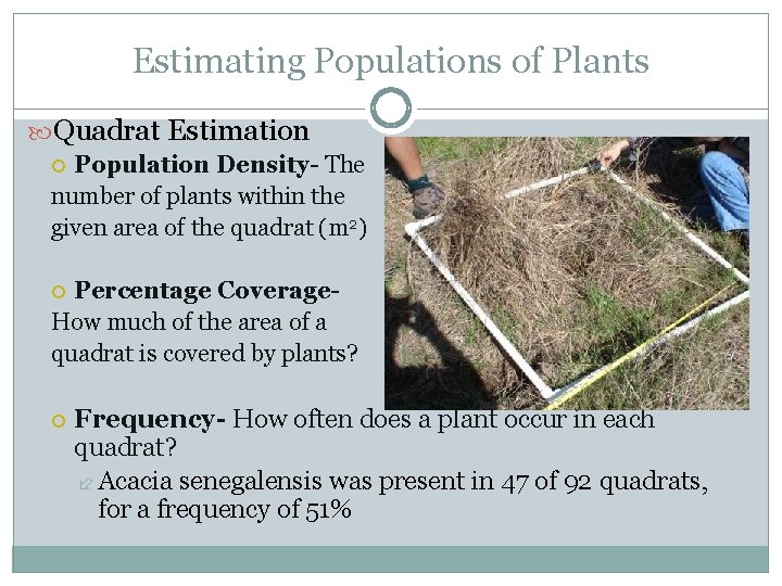 Estimating Populations of Plants Quadrat Estimation Population Density- The number of plants within the