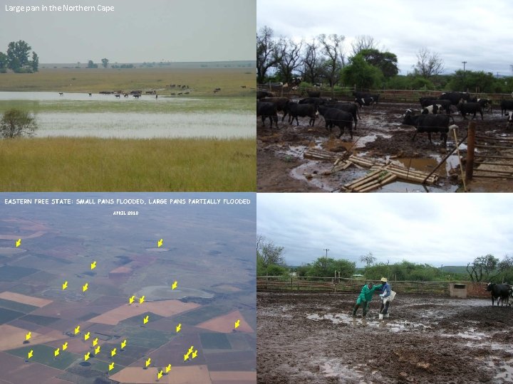 Large pan in the Northern Cape 