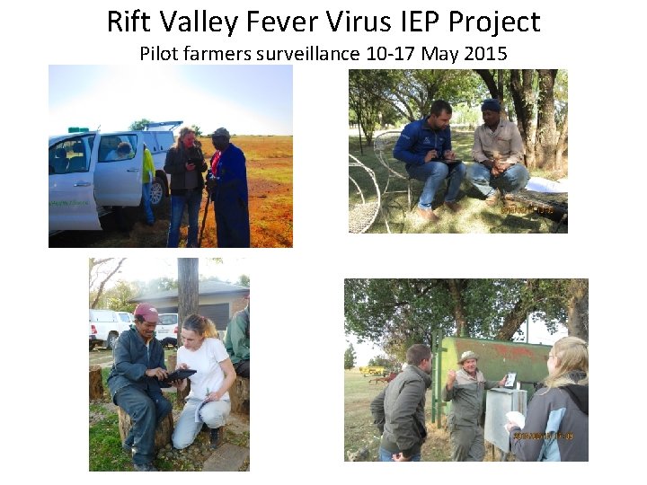 Rift Valley Fever Virus IEP Project Pilot farmers surveillance 10 -17 May 2015 