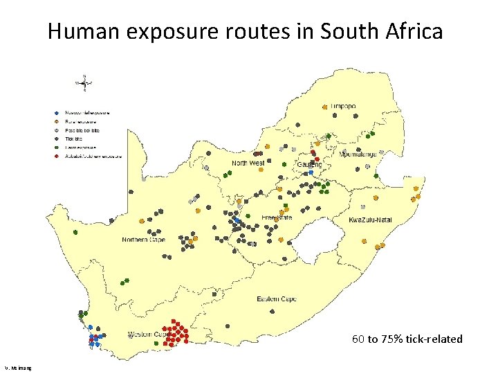 Human exposure routes in South Africa 60 to 75% tick-related V. Msimang 