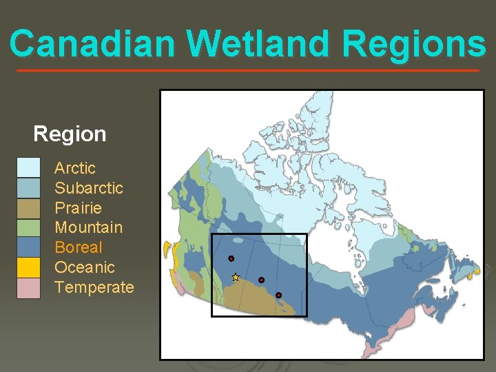 Canadian Wetland Regions Region Arctic Subarctic Prairie Mountain Boreal Oceanic Temperate 