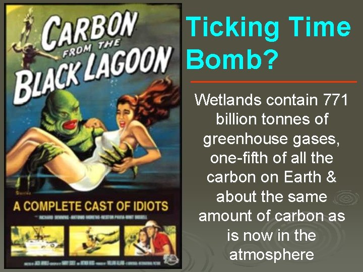 Ticking Time Bomb? Wetlands contain 771 billion tonnes of greenhouse gases, one-fifth of all