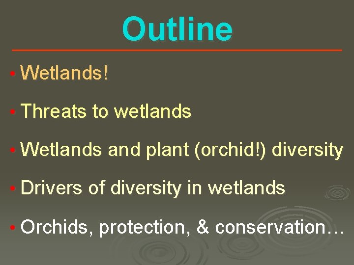 Outline • Wetlands! • Threats to wetlands • Wetlands and plant (orchid!) diversity •