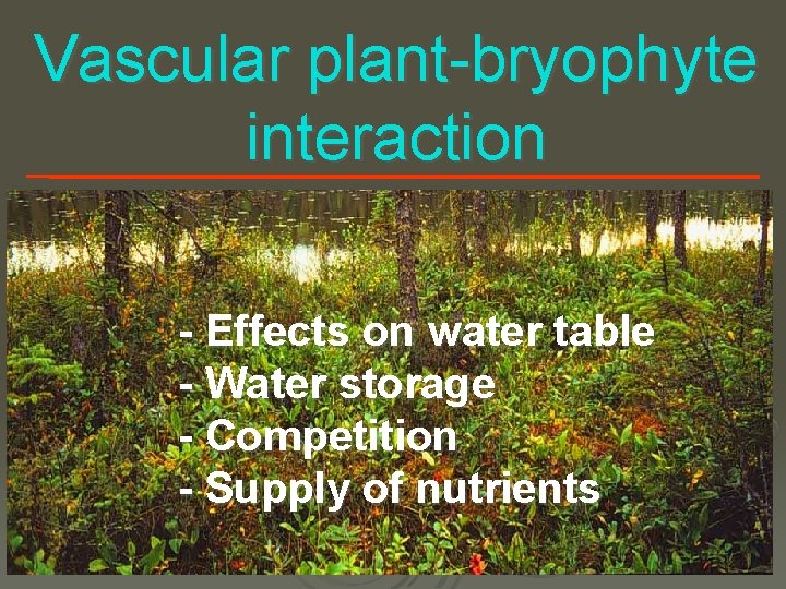 Vascular plant-bryophyte interaction - Effects on water table - Water storage - Competition -