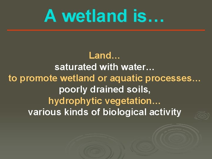 A wetland is… Land… saturated with water… to promote wetland or aquatic processes… poorly
