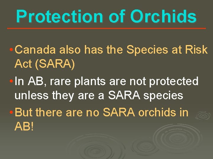 Protection of Orchids • Canada also has the Species at Risk Act (SARA) •